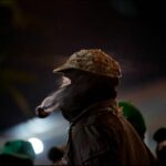 ezln_un_morro_ap_crop1546365413630.jpg_1970638775