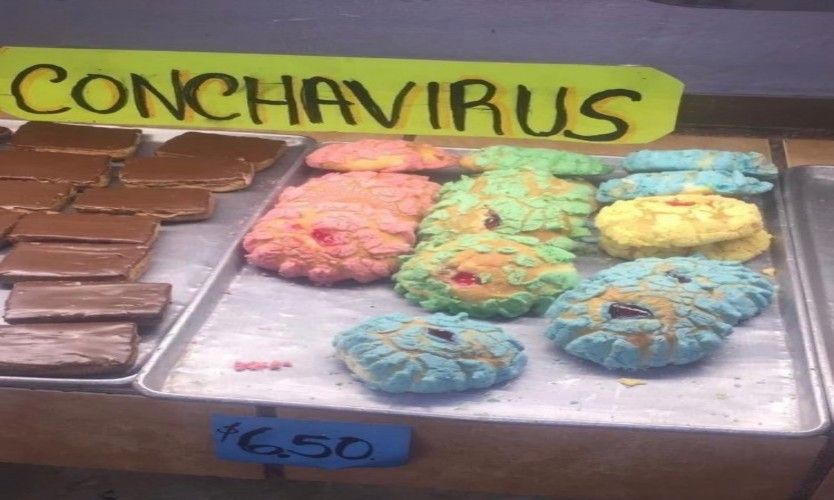 conchavirus-pan-concha-coronavirus