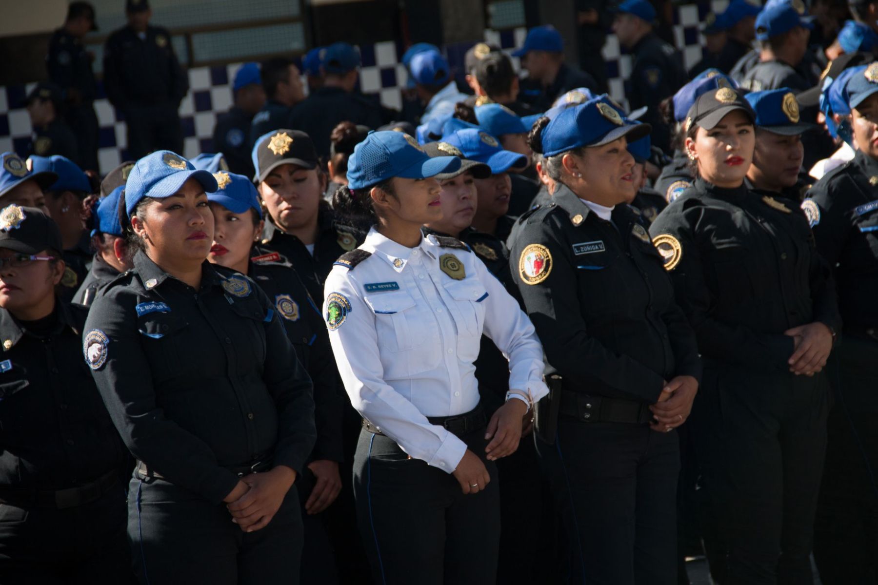 descarga (1)