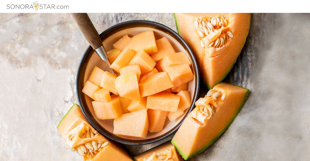 melon-sonora-star melon sonora star