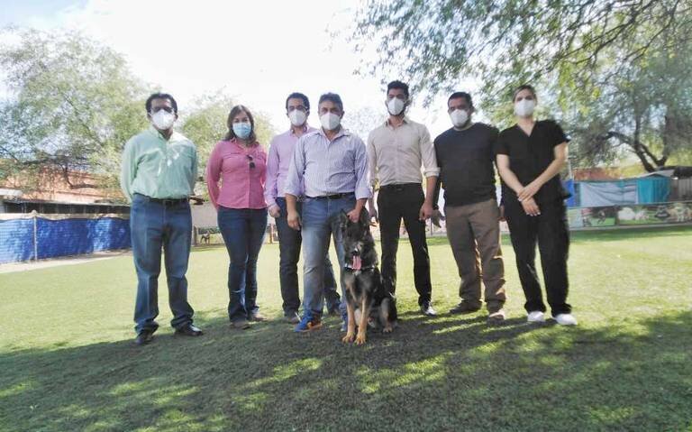 perro que detecta Covid-19 2