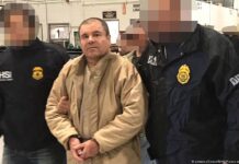 Abogado de Joaquín Guzmán asegura que enviará a EEUU lista de 32 funcionarios presuntamente ligados al narcotráfico