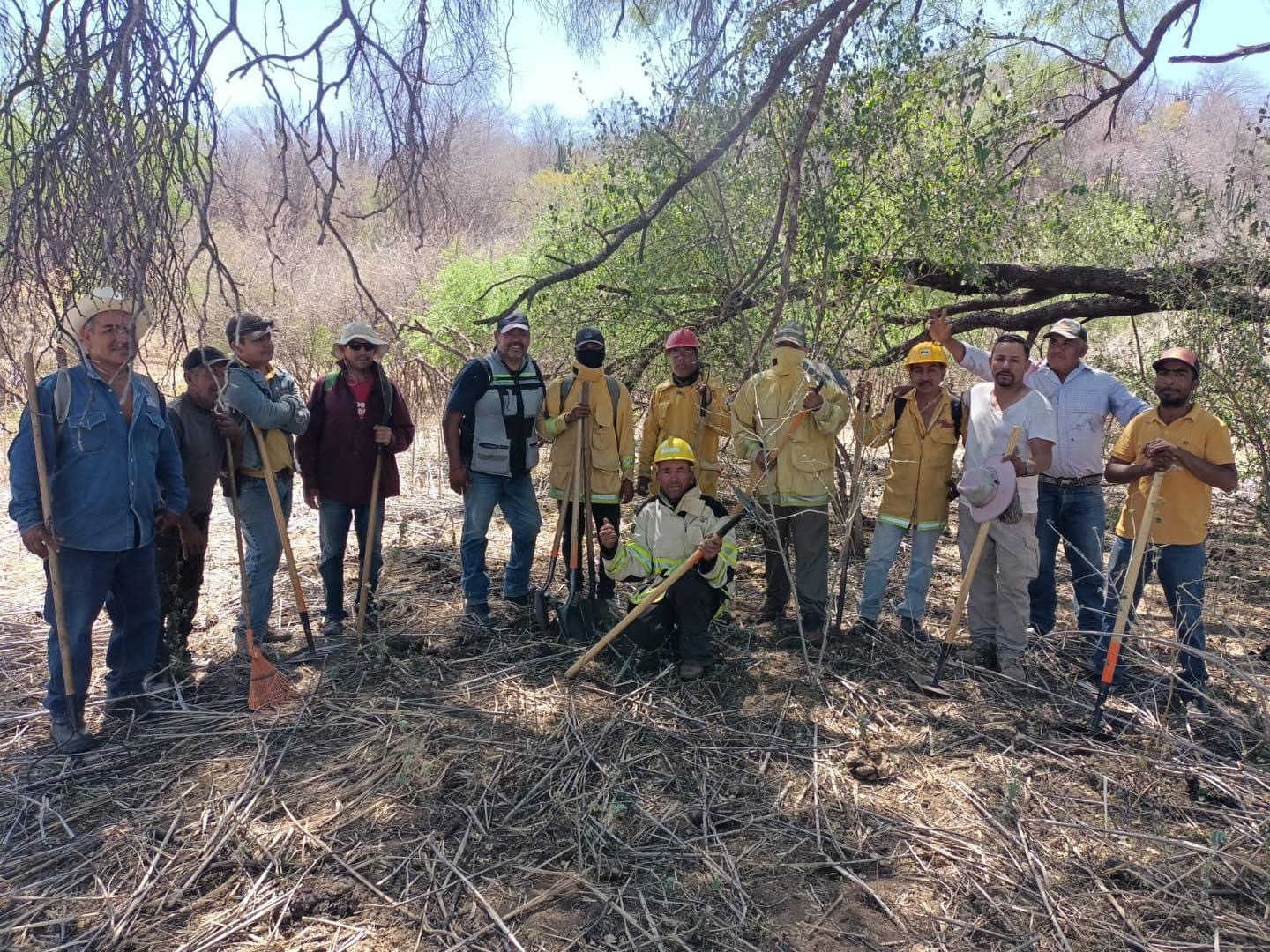 incendio-forestal-quiriego-1