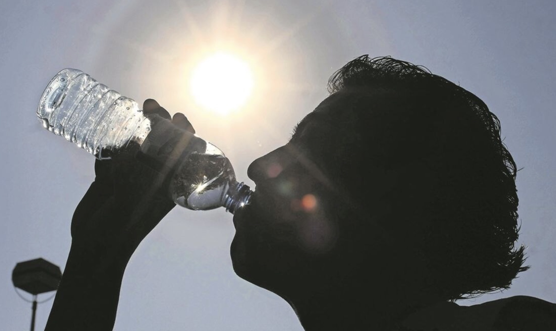 calor-en-sonora