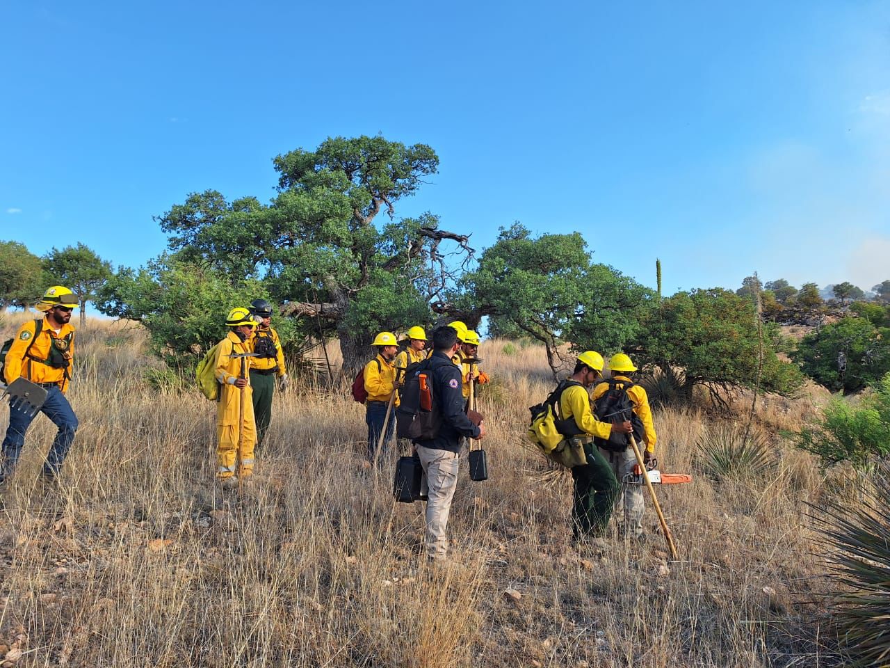 incendio-forestal-imuris-3