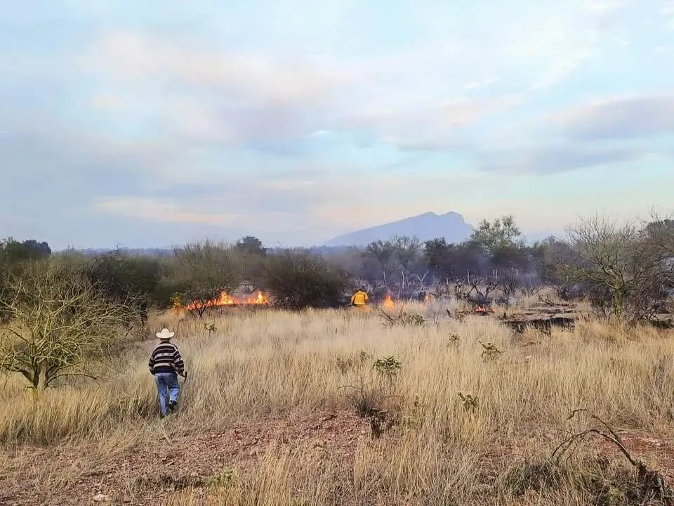 incendio-sur-de-sonora