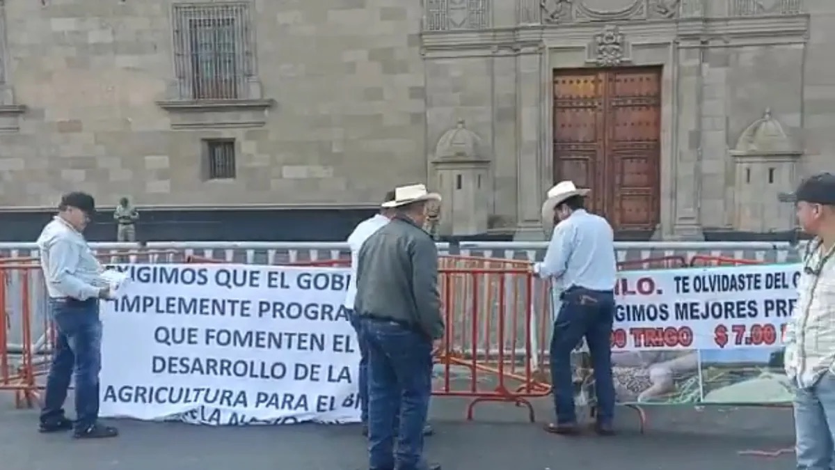 productores-trigo-maiz-zocalo