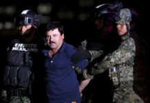 De “El Guano” a “El Mudo”: quiénes son los hermanos de “El Chapo” Guzmán y qué ha pasado con ellos