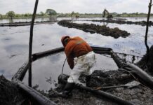 Oceana califica de “insuficiente” gestión de Pemex por derrame de hidrocarburo el Golfo de México