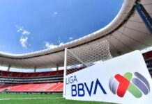 Liga Mx se separará de la Federación Mexicana de Futbol