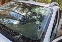 Reportan al menos siete asesinatos en diversos hechos en Veracruz; dos personas más se encuentran heridas