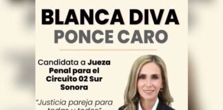Buscó ser jueza y dirigente de Morena; termina sin ambos cargos
