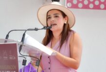 “Nos quieren quitar el camino”: Grecia Quiroz critica reforma electoral por limitar derechos políticos