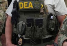 Nuevo México no descarta reclamar suma millonaria por estrategia de la DEA que permitió el ingreso de fentanilo