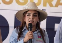 Grecia Quiroz presenta acción de inconstitucionalidad ante la SCJN contra la reforma electoral en Michoacán