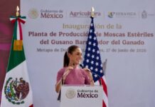 Planta de Moscas Estériles del Gusano Barrenador del Ganado es un buen ejemplo de la cooperación para el desarrollo con Estados Unidos: Presidenta Claudia Sheinbaum