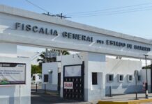 Arrestan a agente y a 3 exagentes de la Fiscalía de Nayarit por presuntos vínculos criminales; operarían red de abasto de armas