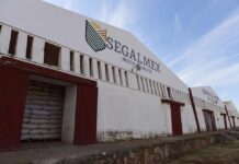 Multan con 777 millones de pesos e inhabilitan a exfuncionarios de Segalmex