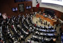 Estos son los legisladores que levantaron la mano para presidir el Senado