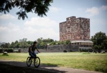 Los candados que ignoró Territorium Life, empresa contratada por la UNAM para aplicación de exámenes