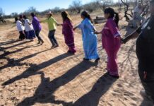 Gobierno de Trump inicia obra de muro fronterizo en Arizona pese a objeciones de pueblos indígenas