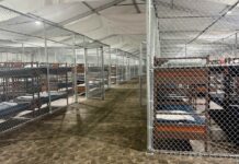 Constatan uso de jaulas y otros abusos a migrantes en Alligator Alcatraz