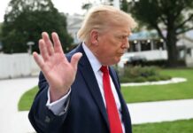 ¡Caída histórica! La aprobación de Trump se desploma al 37% a un mes de las elecciones: WSJ