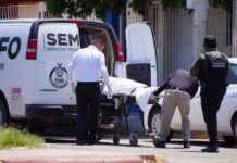 Ante crisis de violencia, el Semefo recurre a funerarias para realizar traslados en Sinaloa