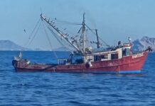 Flota camaronera de Guaymas sale diezmada; solo 60 barcos inician temporada