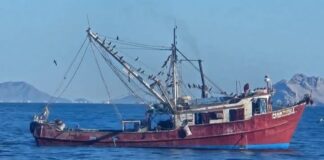 Flota camaronera de Guaymas sale diezmada; solo 60 barcos inician temporada