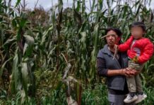 Mujeres campesinas integran el 43% de la fuerza laboral agrícola mundial